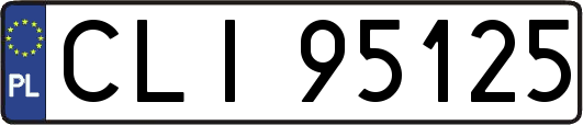 CLI95125