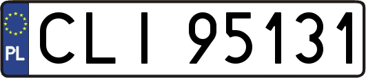 CLI95131