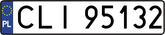 CLI95132