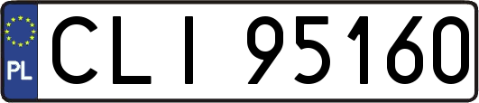 CLI95160