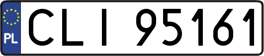 CLI95161
