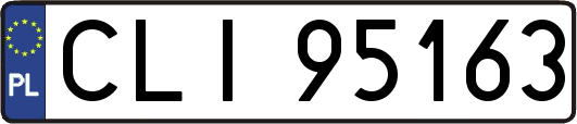 CLI95163