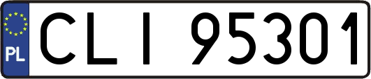 CLI95301