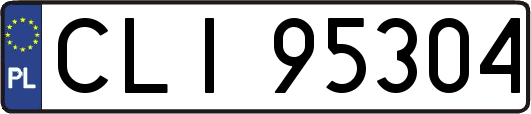 CLI95304