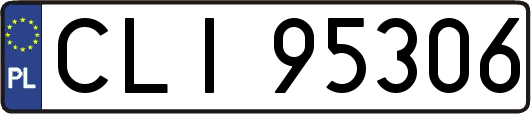 CLI95306