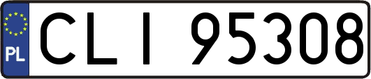 CLI95308