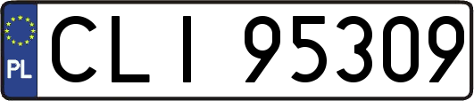 CLI95309