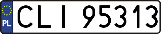 CLI95313