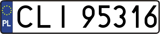 CLI95316