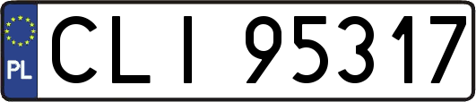 CLI95317