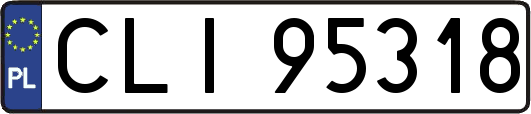 CLI95318