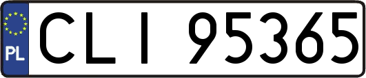CLI95365