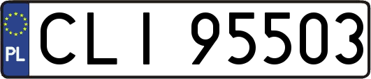 CLI95503