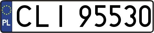 CLI95530