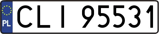 CLI95531