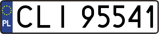 CLI95541