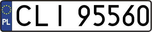 CLI95560
