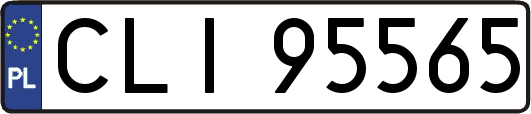 CLI95565