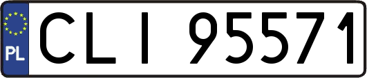 CLI95571