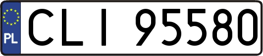CLI95580