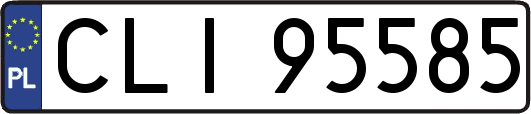 CLI95585
