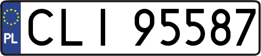 CLI95587