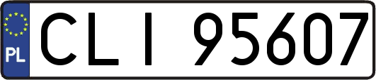 CLI95607