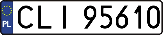 CLI95610