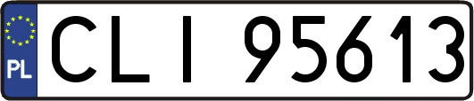 CLI95613