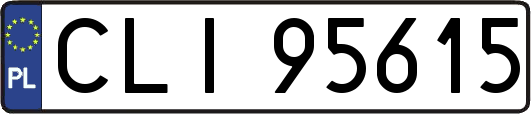 CLI95615