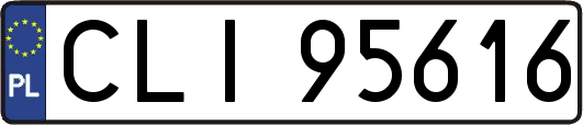 CLI95616