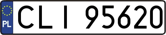 CLI95620