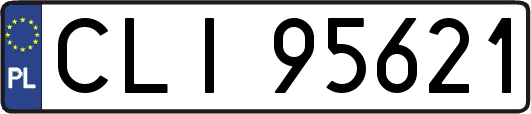 CLI95621