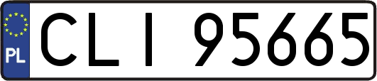 CLI95665