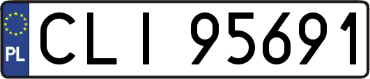 CLI95691