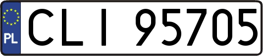 CLI95705