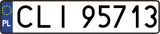 CLI95713