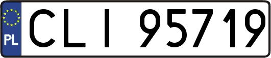 CLI95719