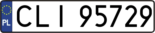 CLI95729