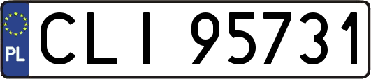 CLI95731