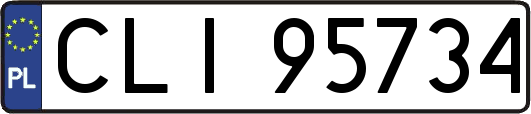 CLI95734