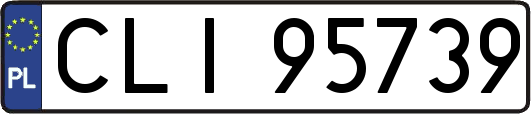 CLI95739