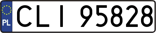 CLI95828