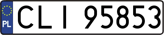 CLI95853