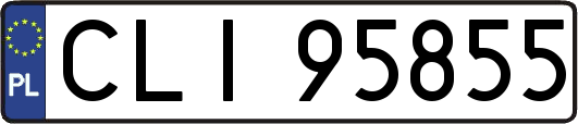 CLI95855