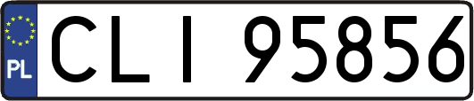 CLI95856