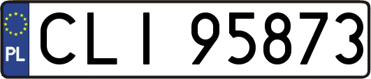 CLI95873