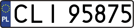 CLI95875