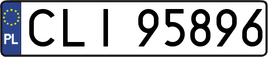 CLI95896