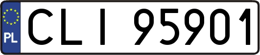 CLI95901
